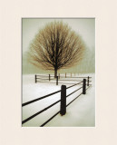 Solitude Art by David Winston