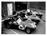 Shelby Roadsters Giclee Print