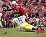 Santonio Holmes Photo