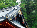 Futara-San Shrine Photographic Print