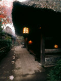Gajo-En, an Old Farm House Used as an Inn, Kagoshima, Japan Photographie