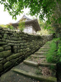 Kumano Pilgrim Road Photographic Print