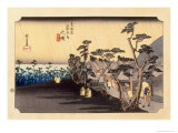 The 53 Stations of the Tokaido, Station 8: Oiso-juku, Kanagawa Prefecture Lámina giclée por Ando Hiroshige