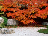 Garden with Autumn Leaves at Tenjuan, Nanzen-Ji Temple, Kyoto, Japan Photographie