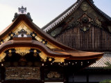 Nijo Castle Photographic Print