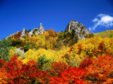 So-Unkyo Photographic Print
