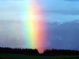 Rainbow Photographic Print