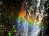 Rainbow and Water Falls Lámina fotográfica Rainbow and Water Falls Lámina fotográfica