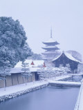 Toji Temple Photographic Print