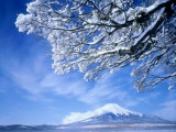 Mt. Fuji & Lake Yamanaka, Yamanashi, Japan Photographic Print