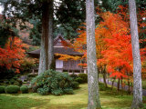 Garden of Sanzenin Temple Photographic Print