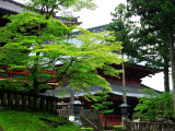 Rinnoji Temple Photographic Print