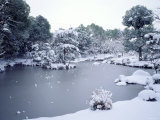 Garden of Hokongo-In Temple Photographic Print