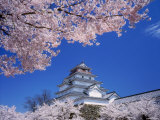 Tsurugajo Castle Photographic Print
