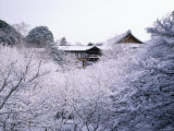 Tutenkyo Bridge of Tofukuji Temple Photographic Print