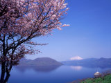 Cherry Blossoms and Lake Toyah Photographic Print