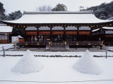 Kamigamo Shrine Photographic Print