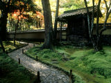 Moss Garden, Saiho-Ji Temple (Kokedera), Kyoto, Japan Photographic Print