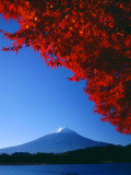 Mt. Fuji and Maple Leaves, Lake Kawaguchi, Yamanashi, Japan Photographic Print