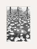 Three Worlds Posters by M. C. Escher