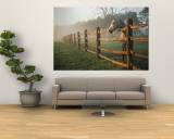 A Horse Watches the Mist Roll in over the Fields Reproduction murale géante
