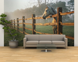 A Horse Watches the Mist Roll in over the Fields Wall Mural – Large by Richard Nowitz