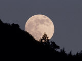 Full Moon Photographic Print