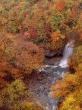 River and Autumn Leaves Photographie