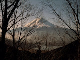 Mt. Fuji Beyond Trees Photographic Print