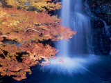 Waterfalls and Autumn Leaves Photographic Print Waterfalls and Autumn Leaves Photographic Print