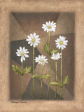 White Daisies Prints by Michael Marcon