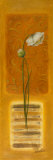 Metamorphosis I Art by Patricia Quintero-Pinto