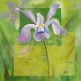Cool Garden III Prints by Patricia Quintero-Pinto