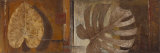 Dry Nature II Prints by Patricia Quintero-Pinto