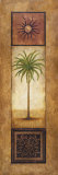 Palm In The Sunlight Póster por Michael Marcon Palm In The Sunlight Póster por Michael Marcon