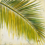 Baru Palm III Affiches par Patricia Quintero-Pinto