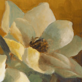 Magnolias Aglow at Sunset II (detail) Prints by Lanie Loreth