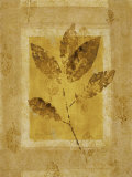 Golden Glow Leaf I Poster by Lanie Loreth