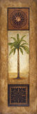 Palmera sagú Láminas por Michael Marcon Palmera sagú Láminas por Michael Marcon