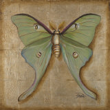 Luna Moth Poster by Patricia Quintero-Pinto