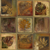 Leaf Square II Affiches par Patricia Quintero-Pinto