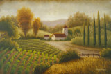 Vineyard In The Sun II Prints by Michael Marcon