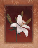 Tiger Lily Prints by Vivien Rhyan