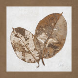 Beauty of Simplicity II Láminas por Patricia Quintero-Pinto Beauty of Simplicity II Láminas por Patricia Quintero-Pinto