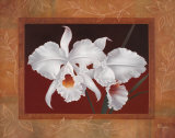 White Orchids Prints by Vivien Rhyan