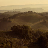 Sunrise Over Tuscany I Prints by Shelley Lake