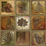 Leaf Square I Posters by Patricia Quintero-Pinto