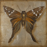 Brown Butterfly Art by Patricia Quintero-Pinto