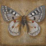 Butterfly II Prints by Patricia Quintero-Pinto