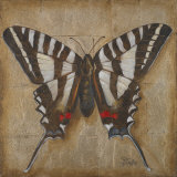 Butterfly II Láminas por Patricia Quintero-Pinto